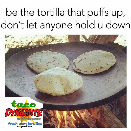 fresh corn tortillas